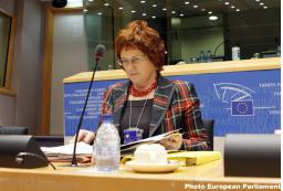 Sharon Bowles MEP chairing the European Parliament's Economic and Monetary Affairs Committee